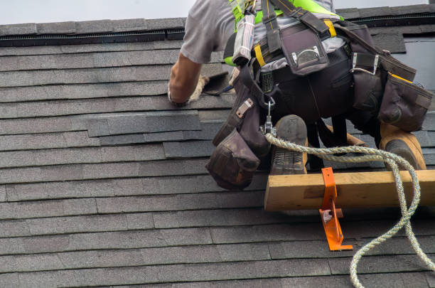 Best Roof Leak Repair  in Lindstrom, MN