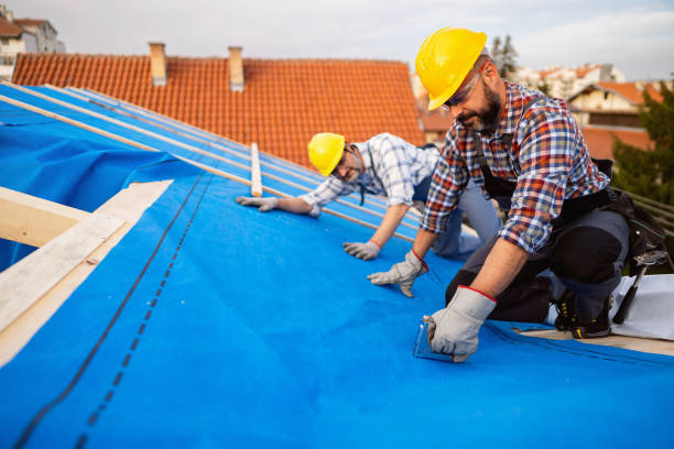 Best Emergency Roof Repair  in Lindstrom, MN