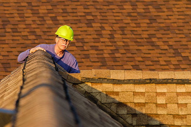 Best Roof Leak Repair  in Lindstrom, MN