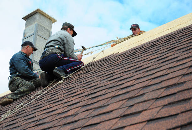 Best Storm Damage Roof Repair  in Lindstrom, MN
