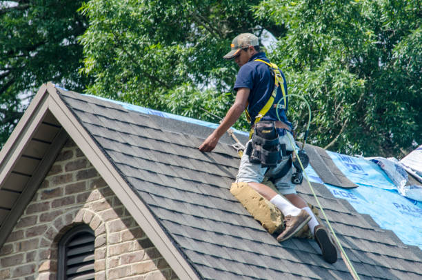 Best Flat Roof Repair Services  in Lindstrom, MN